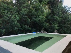 a swimming pool with a blue cup on top of it at RAMAL LODGE CONSTITUCION in Constitución