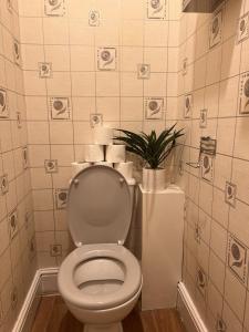 a bathroom with a white toilet and a plant at ST Nic House in Carlisle