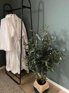 a plant in a vase next to a clothes rack at Fabrikken in Bleik