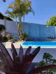 uma planta roxa em frente a uma piscina em Quarto, piscina, ar condicionado em Encantado
