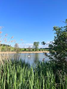 Príroda v okolí luxusného stanu