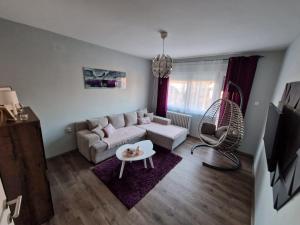โทรทัศน์และ/หรือระบบความบันเทิงของ Grey & Sunny Apartments Zaječar