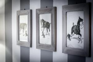 three framed pictures of horses on a wall at Como Unique View - byMyHomeinComo in Como