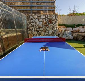 a blue ping pong table with a beetle on it at וילת המלך שלמה דירוג 10 יוצא מן הכלל in Wadi Keren