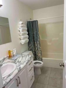 a bathroom with a sink and a toilet and a shower at Executive Apartment at Southend Sudbury in Sudbury