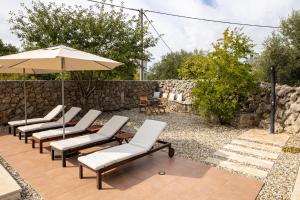 Zahrada ubytování Villa Perla