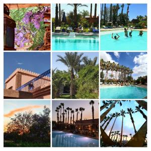 un collage di foto di una piscina con palme di Casa Taos a Marrakech