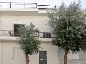 dos árboles frente a un edificio blanco en Zesto spitiko, en Pireo