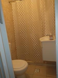 a bathroom with a shower with a toilet and a sink at Mendoza InnGodoy in Godoy Cruz