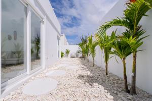a pathway with palm trees next to a white building at Caya Erasmus 20 in Tanki Lender