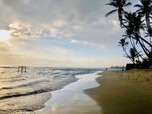 a beach with palm trees and the ocean at Nilan Villa in Koggala +8 photos