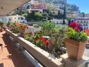 uma fila de vasos de plantas numa varanda em Villa Centaurea Apartment with private parking em Taormina