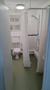 a bathroom with a toilet and a shower at A one spacious bedroom apartment in Welling