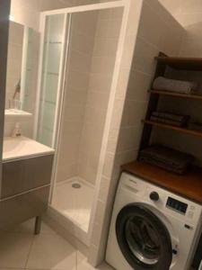 La salle de bains est pourvue d'un lave-linge et d'une douche. dans l'établissement Studio Agora, à Douvaine