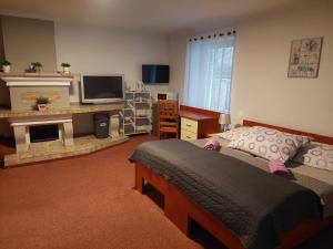 a bedroom with a bed and a fireplace and a television at Penzion SLUNCE in Česká Lípa