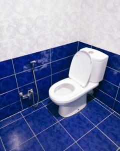 ein blau gefliestes Bad mit einem WC und einer Dusche in der Unterkunft Gabala red villa in Qəbələ