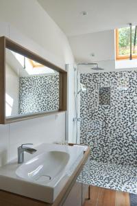 uma casa de banho com um lavatório e um chuveiro em Maison Laroze em Gevrey-Chambertin