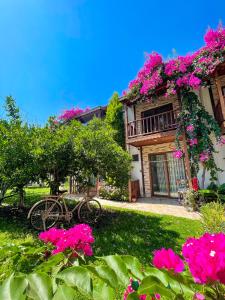 une maison avec des fleurs roses dans la cour dans l'établissement Faralya Misafir Evi, à Faralya