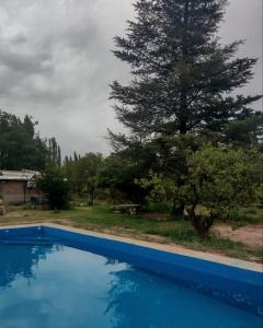 Swimmingpoolen hos eller tæt på Hospedaje Los Girasoles + 24 billeder