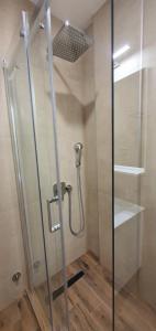 une douche avec une porte vitrée dans une salle de bain dans l'établissement MONTANA apartment 21, à Kopaonik