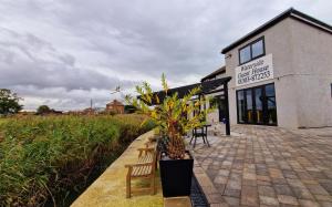 a building with benches and plants in front of it at Waterside Guesthouse in Dymchurch