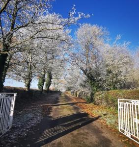 un camino de tierra con árboles y una valla blanca en Knockreagh Farm Cottages, Callan, Kilkenny, en Kilkenny