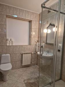 a bathroom with a toilet and a sink and a shower at Pokoje Gościnne Zych in Szczyrk