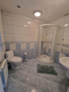a bathroom with a shower and a toilet and a sink at Pokoje Gościnne Zych in Szczyrk
