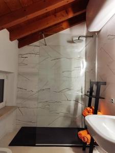 a bathroom with a shower and a white sink at Una Rosa sul Mincio in Valeggio sul Mincio