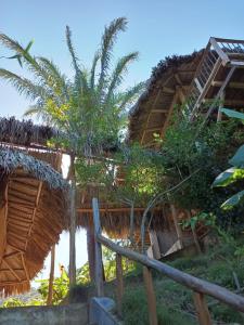ośrodek wypoczynkowy z krytym strzechą dachem i palmami w obiekcie Frana Lodge w mieście El Zaino