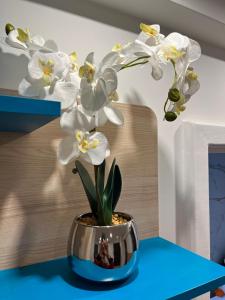 a vase filled with white flowers on a blue table at Apartament Centrum Okulickiego ! in Stalowa Wola