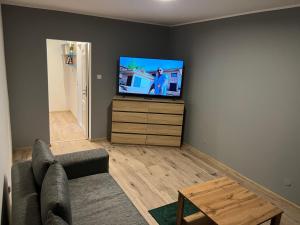 ein Wohnzimmer mit einem Sofa und einem Flachbild-TV in der Unterkunft Apartament Centrum Okulickiego ! in Stalowa Wola