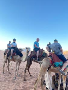 a group of people riding on camels in the desert at Wadi rum desert sky in Wadi Rum