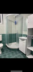 a bathroom with a shower and a toilet and a sink at Bellas apartmani in Novi Sad