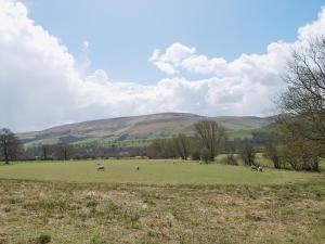 a group of animals grazing in a field at Ryecroft in Bradwell