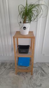 mały stolik z rośliną i doniczką na nim w obiekcie Appartement proche croisette avec parking et climatisation w Cannes