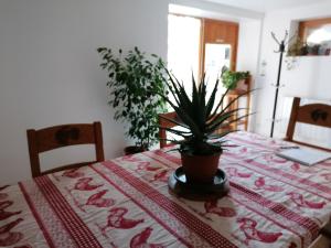 Postel nebo postele na pokoji v ubytování Chambres d'hôtes chez Loulou et Caramel