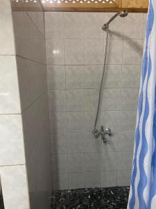 a shower in a bathroom with a tile wall at Beach de rêve de moorea in Hauru