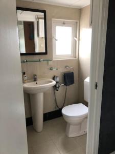 La salle de bains est pourvue d'un lavabo, de toilettes et d'un miroir. dans l'établissement Linderhuisje, rust, ruimte, privacy en natuur, à Linde