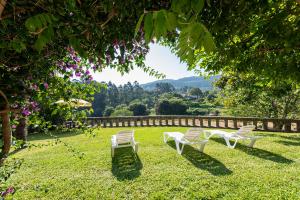 dos sillas blancas sentadas en la hierba bajo un árbol en Villa Campo Das Medas , en medio de la naturaleza con piscina privada de sal, en Gondomar
