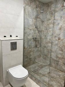 uma casa de banho com um chuveiro e um WC. em Saulėti apartamentai Trakuose/Sunny apartment in Trakai em Trakai