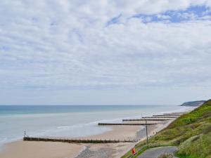 a view of a beach with a pier and the ocean at Pinewood - E3077 in Thorpe Market