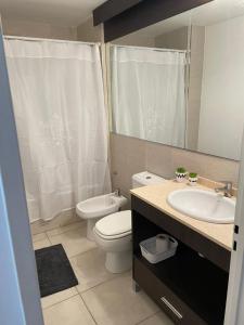 y baño con aseo, lavabo y espejo. en Hermoso Monoambiente en Santa Fe en Santa Fe