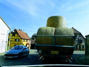 Ein Lkw voller Heu mit einem Auto. in der Unterkunft Chambres meublées chez Loulou et Caramel in Magstatt-le-Bas