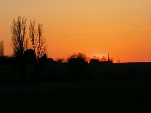 an orange sunset with trees in the background at Chambres meublées chez Loulou et Caramel in Magstatt-le-Bas