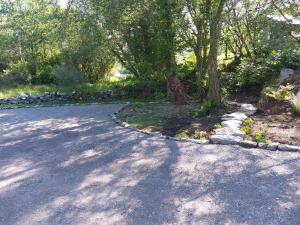 a road with a tree and rocks on it at Harbourside House Glengarriff in Glengarriff