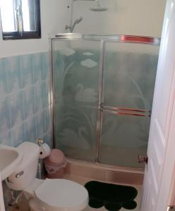 uma casa de banho com um chuveiro, um WC e um lavatório. em Villa KIKI Ensenada em Punta Rucia