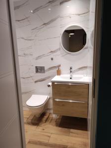 W łazience znajduje się toaleta, umywalka i lustro. w obiekcie Noclegi u Sylwii przy Termach w Cieplicach w Jeleniej Górze