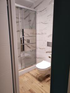 W łazience znajduje się toaleta i przeszklony prysznic. w obiekcie Noclegi u Sylwii przy Termach w Cieplicach w Jeleniej Górze
