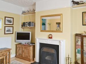 a living room with a fireplace and a television at Heath View Cottage in Westleton